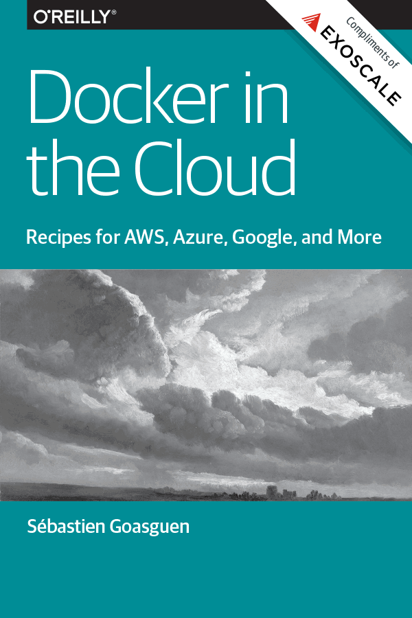 Docker in the cloud cover image