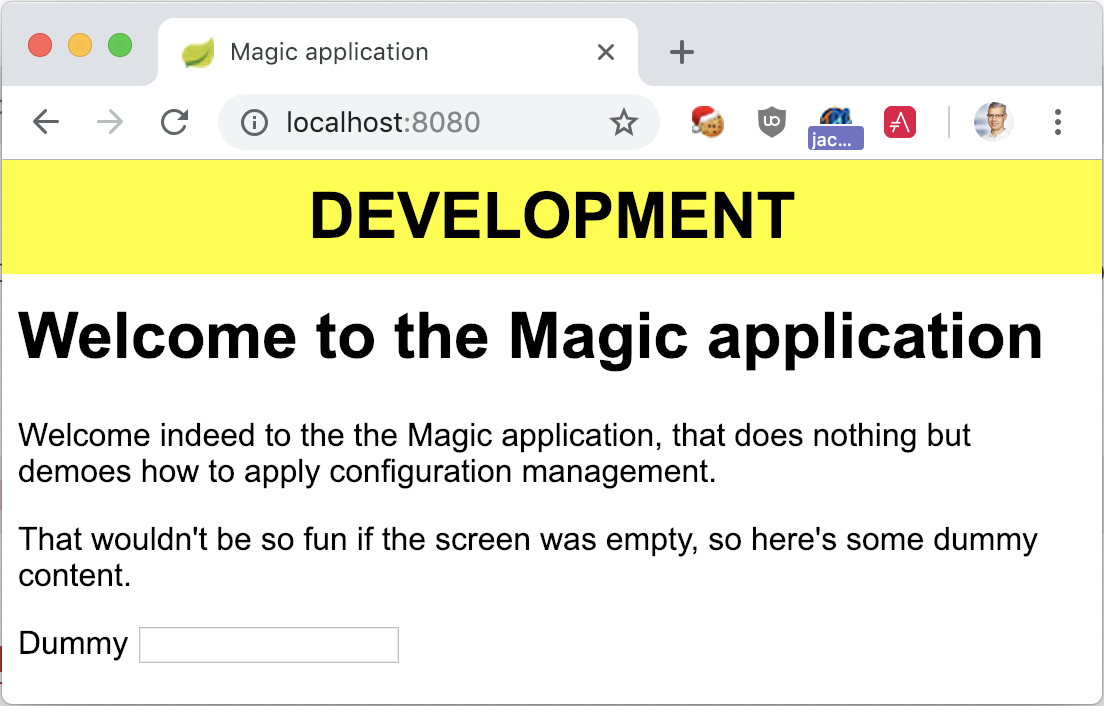 The Magic Application launched with Docker and the dev profile