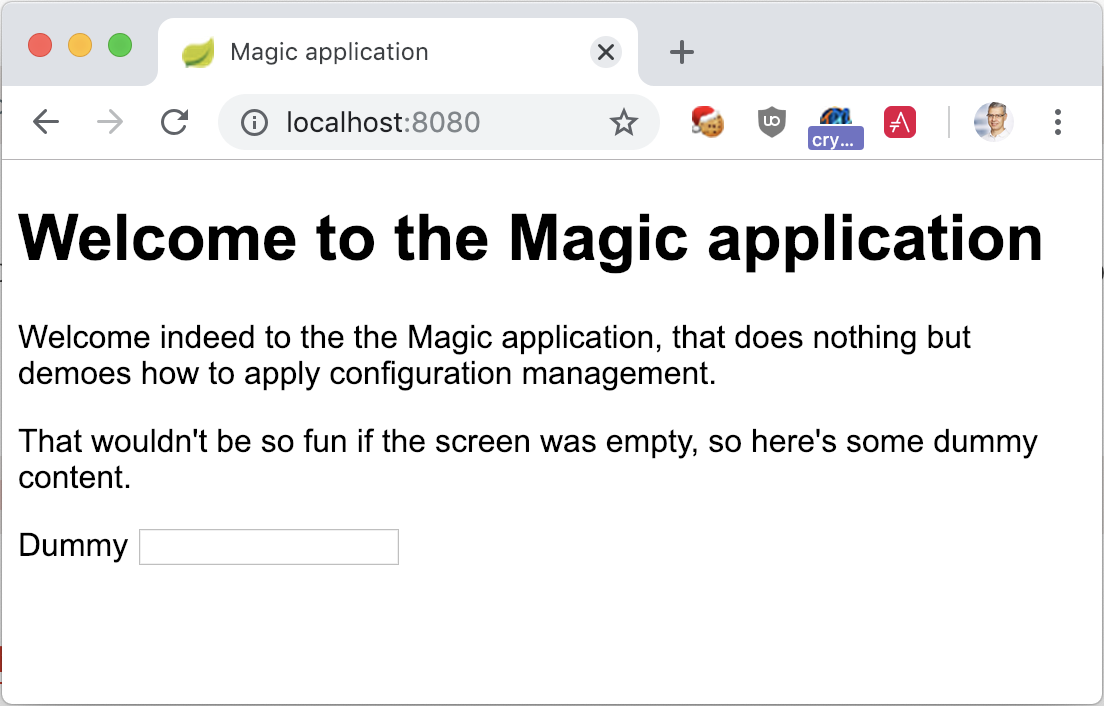 The Magic Application launched with Docker and no profile
